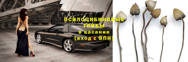 прущие грибы Протвино