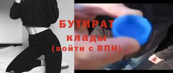 прущие грибы Протвино
