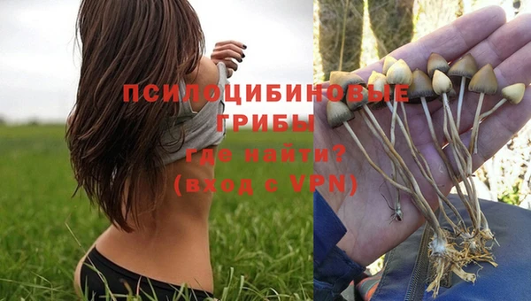 меф Пролетарск