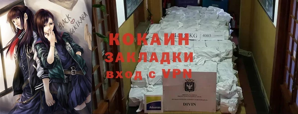 прущие грибы Протвино
