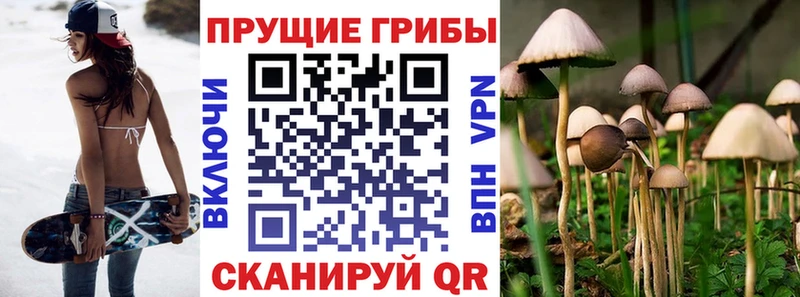 купить закладку  Чёрмоз  Псилоцибиновые грибы MAGIC MUSHROOMS 